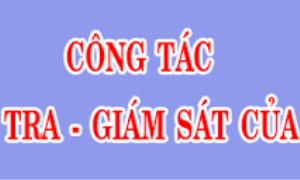 Công tác kiểm tra, giám sát ở Đảng bộ Bắc Giang